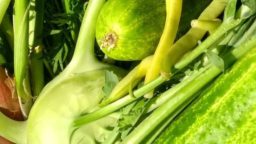 a metal bowl with a delection of home grown vegetables